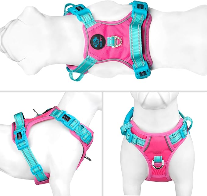 PHOEPET No Pull Dog Harness, Unique Colors Reflective Adjustable Dog Vest, with Soft Training Handle Metal Clips for Small Medium Large Dogs (Pink Base & Green Straps,L)-Mewly Pet