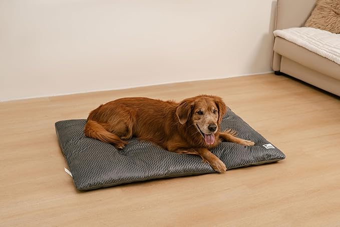 FUNNY FUZZY Washable Dog Bed,Reversible Plush Dog Crate Mat, Soft Fluffy Kennel Pad,Pet Sleeping Mattress for Jumbo,X-Large Sized Dogs Breeds,2XL,48"× 31",Grey-Mewly Pet