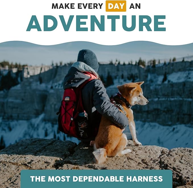 Embark Adventure Dog Harness, Reflective Trim XL Dog Harness for Extra Large Dogs No Pull - Military Grade Nylon, 2 Leash Clips & Gel Lined Handle.-Mewly Pet