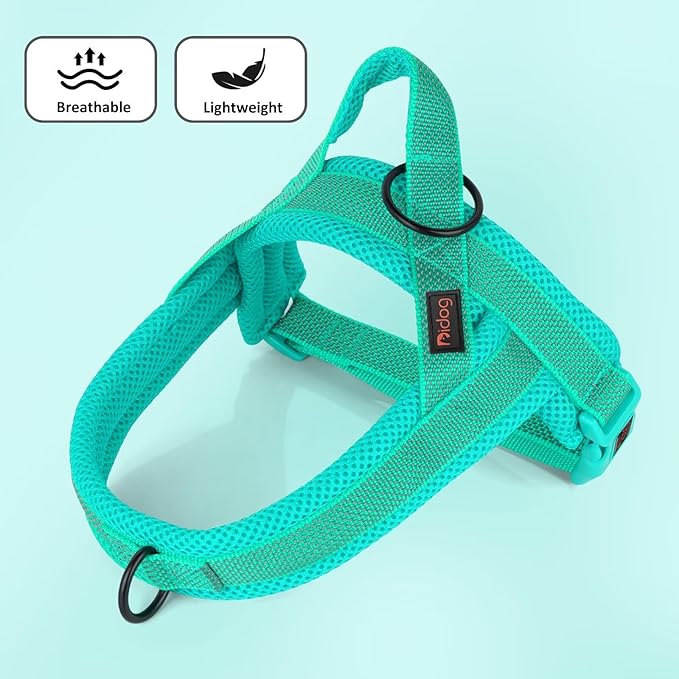 Didog No Pull Dog Harness with Breathable Mesh Padded, Full Reflective & Quick Fit Adjustable Vest Harness, Easy for Training Walking for Small & Medium and Large Dogs (Green, L:Chest 26-32")-Mewly Pet