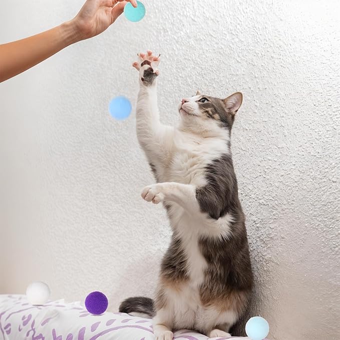 60 Pcs Cat Toy Balls 1-inch Colorful Cat Pom Pom Balls Soft Interactive Cat Balls Cat Play Toy Cat Exercise Toys Cats Interactive Playing Quiet Ball Fuzzy Kitten Ball for Cat Pet-Mewly Pet