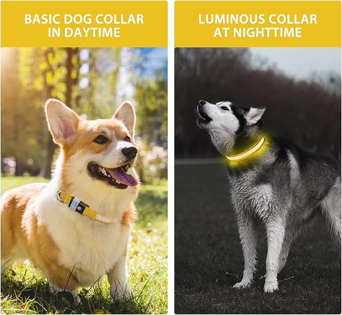 PcEoTllar Light up Dog Collar for Night Walking - LED Dog Collar Light Rechargeable Color Changing, Glow in The Dark Dog Collars Waterproof Glowing Dog Collars for Large Small Medium Dogs-Mewly Pet