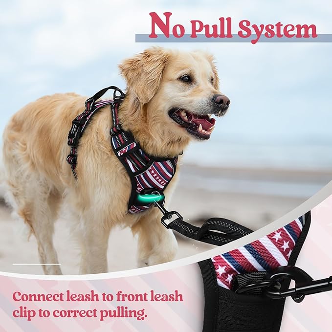 rabbitgoo Dog Harness No Pull with 2 Leash Clips, Adjustable Soft Padded, Reflective Oxford No Choke Pet Vest with Easy Control Handle for Large Dogs, Red Stripe, L-Mewly Pet