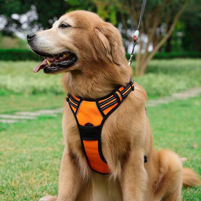 rabbitgoo Dog Harness No Pull with 2 Leash Clips, Adjustable Soft Padded, Reflective Oxford No Choke Pet Vest with Easy Control Handle for Large Dogs,Orange,L-Mewly Pet