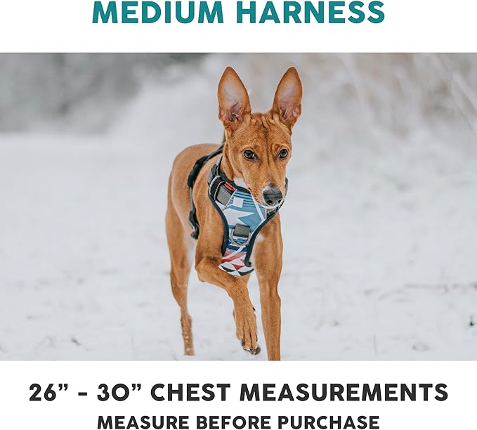 Embark Adventure Dog Harness, Reflective Trim No Pull Dog Harness Medium Sized Dogs - Military Grade Nylon, Front Clip with Gel Lined Handle.-Mewly Pet