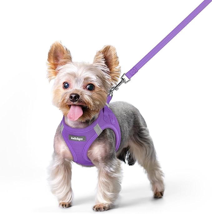 rabbitgoo Dog Harness Small Sized and Leash Set, Step in Soft Light Puppy Vest, Breathable Mesh Pet Harness, Reflective for Safe Outdoor Walking, Purple XS-Mewly Pet