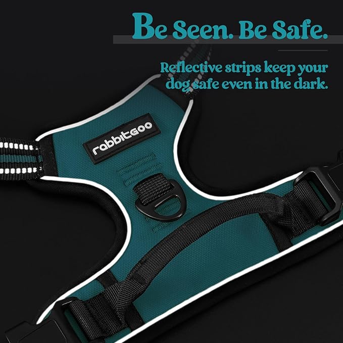 rabbitgoo Dog Harness No Pull with 2 Leash Clips, Adjustable Soft Padded, Reflective Oxford No Choke Pet Vest with Easy Control Handle for Large Dogs, Teal, L-Mewly Pet