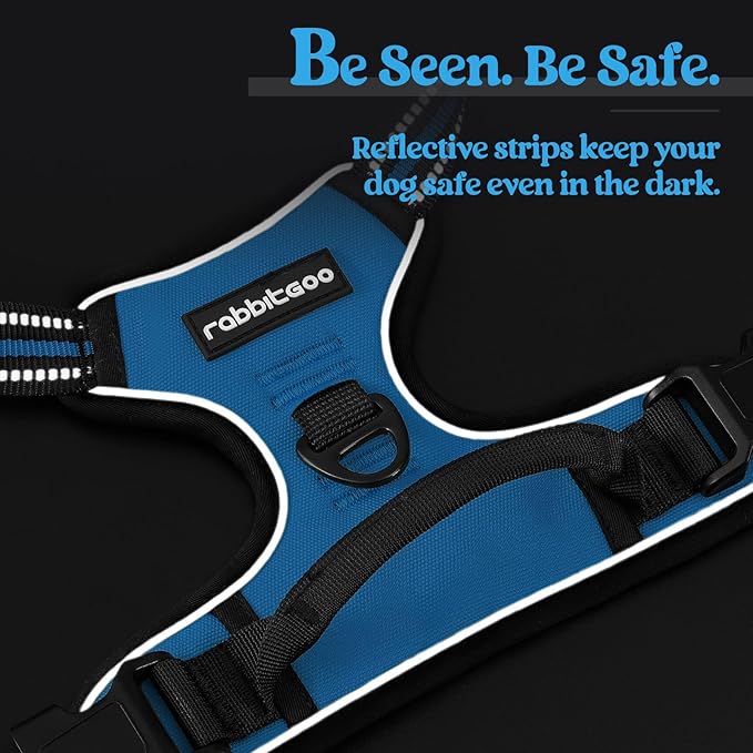 rabbitgoo Dog Harness No Pull with 2 Leash Clips, Adjustable Soft Padded, Reflective Oxford No Choke Pet Vest with Easy Control Handle for Medium Sized Dogs, Blue, M-Mewly Pet