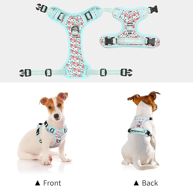 Timos Dog Harness, 3 Snap Buckles No-Pull Soft Padded Dog Vest with 2 Metal Leash Clips,Adjustable Reflective No Choke Pet Harness with Easy Control Handle for Small Dogs,Cyan,S-Mewly Pet