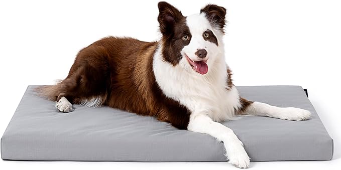 Cybarmour Indestructible Dog Bed - Outdoor Waterproof Chew Proof Dog Crate Pad - Orthopedic Kennel Mat for Aggressive Chewers - Large Breeds & Fits 36-Inch Crate - 35"x22", Limestone-Mewly Pet