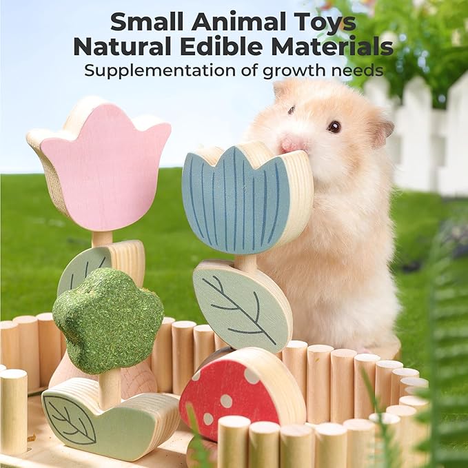 mini&moe Hamster Chew Toys for Teeth - Guinea Pig Chews Enrichment Toys Natural Edible Rabbit Chew Toy for Bunny, Rat, Chinchilla, Gerbils and Others Small Animal-Mewly Pet