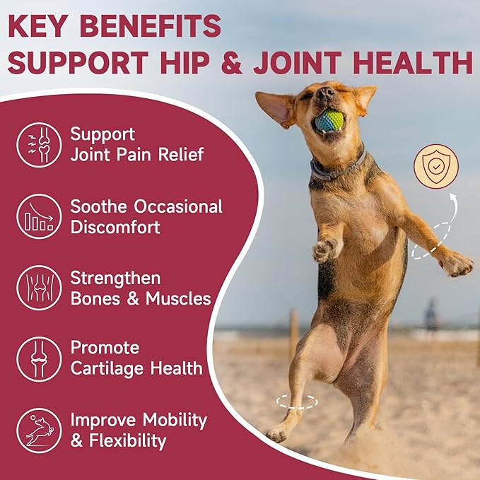 Glucosamine for Dogs - Joint Supplement for Dogs with Chondroitin, MSM, Omega 3, Hemp, Turmeric for Dog Joint Pain Relief, Dog Joint Supplement with Calcium Support Cartilage & Bone Health, 180 Chews-Mewly Pet