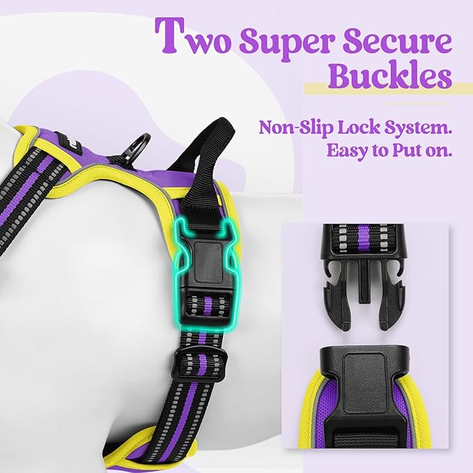 rabbitgoo Dog Harness No Pull with 2 Leash Clips, Adjustable Soft Padded, Reflective Oxford No Choke Pet Vest with Easy Control Handle for Small Dogs, Purple & Yellow, S-Mewly Pet