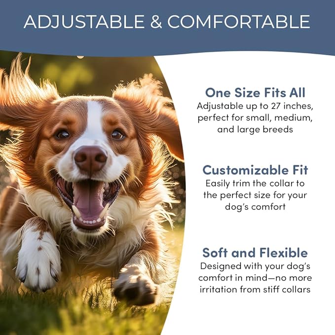 Flea and Tick Collar for Dogs, Cats – Natural Essential Oils – Long-Lasting 8 Month Protection – Waterproof, Adjustable – Safe for Puppies, Kittens, Sensitive Skin-Mewly Pet