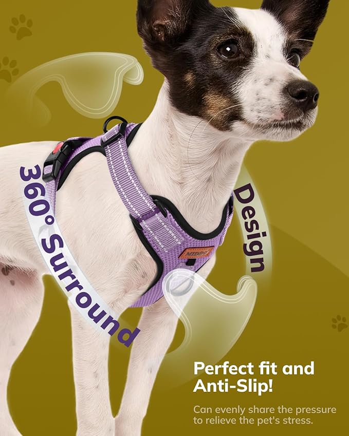 MIDOG No-Pull Dog Harness | Adjustable & Reflective Pet Harness Leash Set for Small Medium Large Dogs Walking, Training| No Choke, Front Clip, Soft Padded Vest with Easy Control Handle - Purple, XS-Mewly Pet