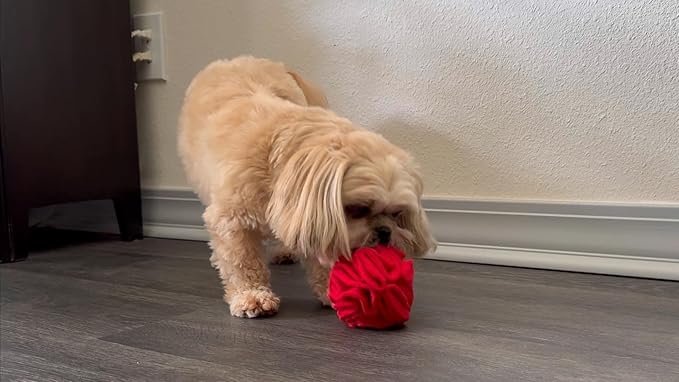 Puppy and Small Breed Snuffle Interactive Foraging Dog Puzzle Ball Toy Red with Crinkle-Mewly Pet