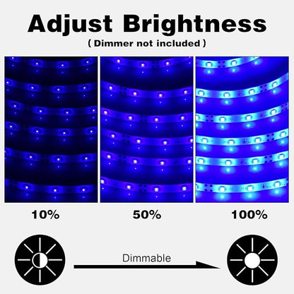 iNextStation 12V LED Light Strip IP65 Waterproof Blue LED Strip Lights 16.4ft/5m Cuttable 300 SMD 2835 LED Tape Flexible Led Lights for Bedroom Outdoor Indoor Decor (Power Adapter not Included)