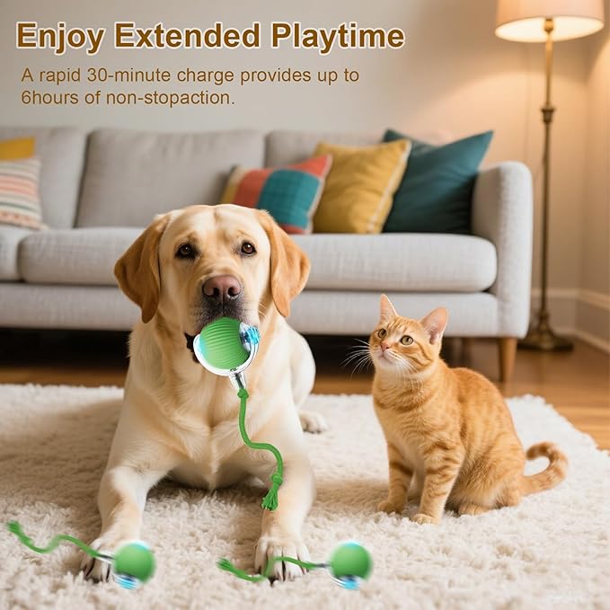 Interactive Cat Toy, 2025 New Interactive Rolling Cats Dog Toy Balls 360° Smart Automatic Rolling Pet Ball, Fast Moving Toy for Dog,Cat Ball Toy(Geen)-Mewly Pet