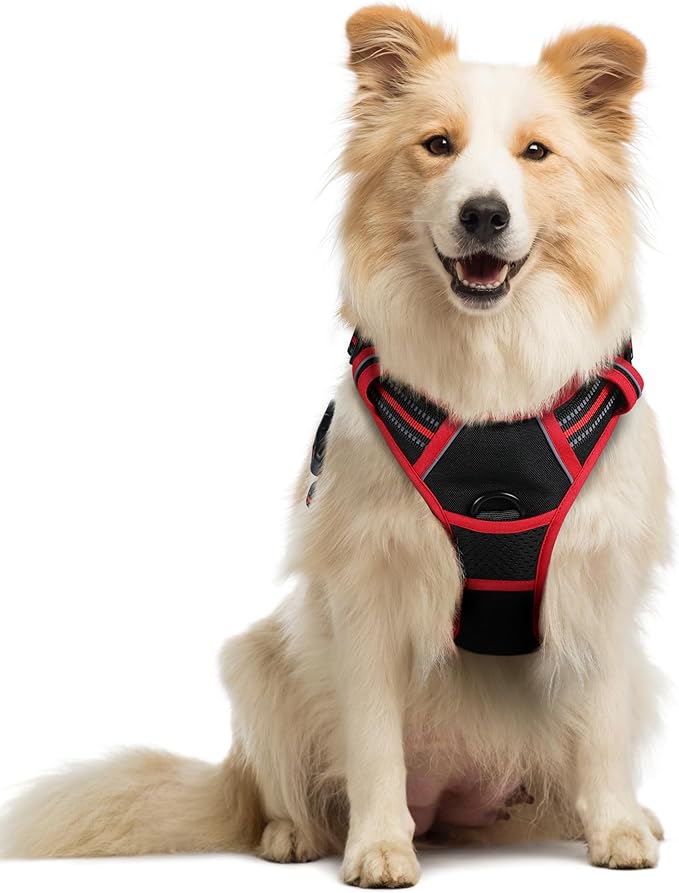 rabbitgoo Dog Harness No Pull with 2 Leash Clips, Adjustable Soft Padded, Reflective Oxford No Choke Pet Vest with Easy Control Handle for Medium Sized Dogs, Black & Red, M-Mewly Pet