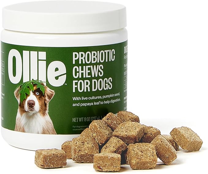 Ollie Belly Rubs, Probiotic Dog Chews, Digestive Health, Natural Ingredients, for Upset Stomach Relief, Appx. 60 Count-Mewly Pet