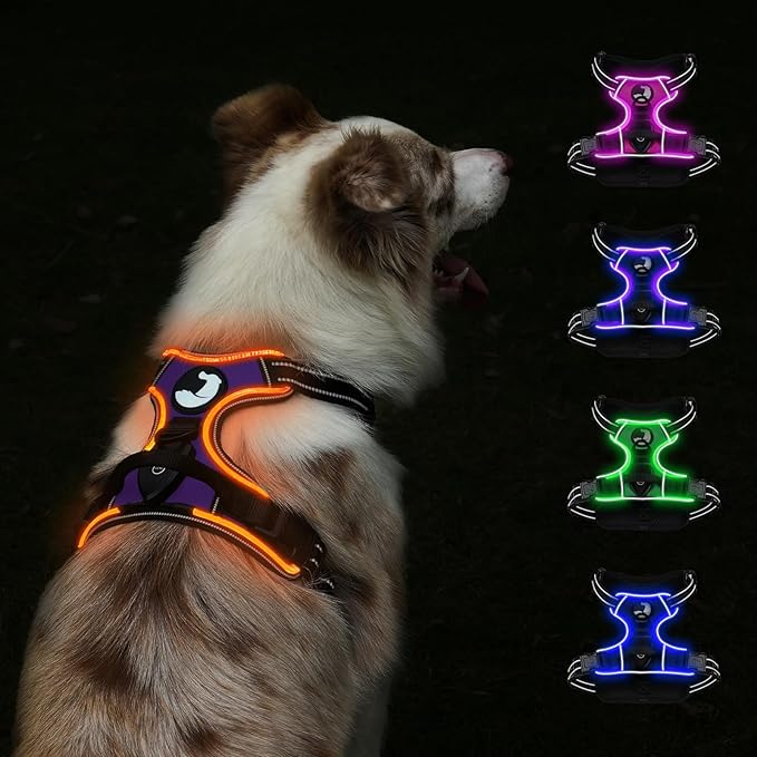 Taglory Light Up Dog Harness, Rechargeable No Pull Dog Vest with 3 Lightning Modes, Reflective Dog Harness with 2 Leash Clips & 4 Adjustable Slide Strips for Large Dogs, Purple-Orange, L-Mewly Pet