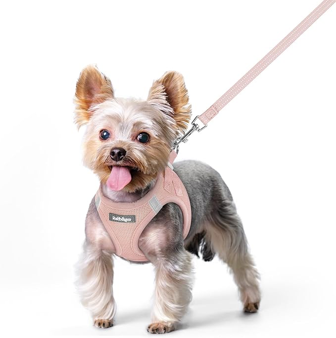 rabbitgoo Dog Harness Small Sized and Leash Set, Step in Soft Light Puppy Vest, Breathable Mesh Pet Harness, Reflective for Safe Outdoor Walking, Pink XS-Mewly Pet