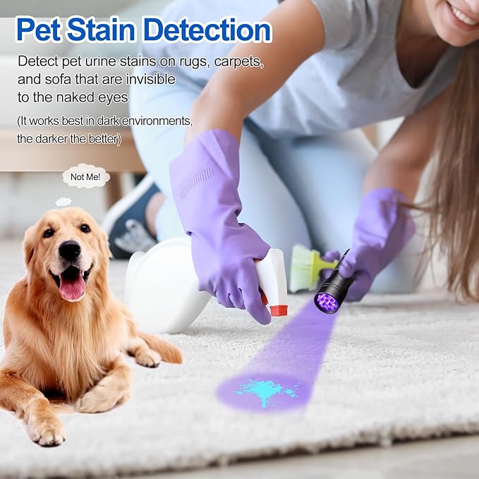 Black Light UV Flashlight,Vansky Blacklight 12 LED Urine Detector For Dog/Cat/Pet Urine & Dry Stains and Bed Bug On Carpets/Rugs/Floor,Matching with Pet Odor Eliminator-Mewly Pet