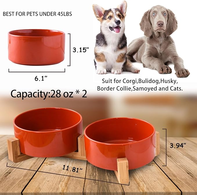 Petygooing Ceramic Cat Dog Bowl Set with Stand,Pet Food and Water Dishes,Medium Dog Bowls Anti -Slip Set of 2 Cat Dish Pet Food Bowls- Small Medium Size Pet (28OZ/6.1 in) Rust Red-Mewly Pet