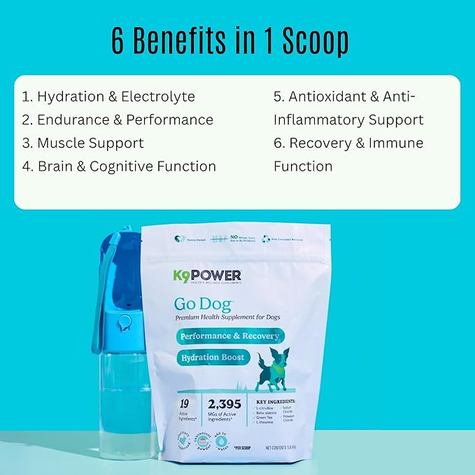 K9 Power Go Dog Hydration & Performance Drink Mix 1 lb - Active Dog Supplement for Muscle Function, Endurance, Recovery, with Electrolytes Support - Pack of 2-Mewly Pet