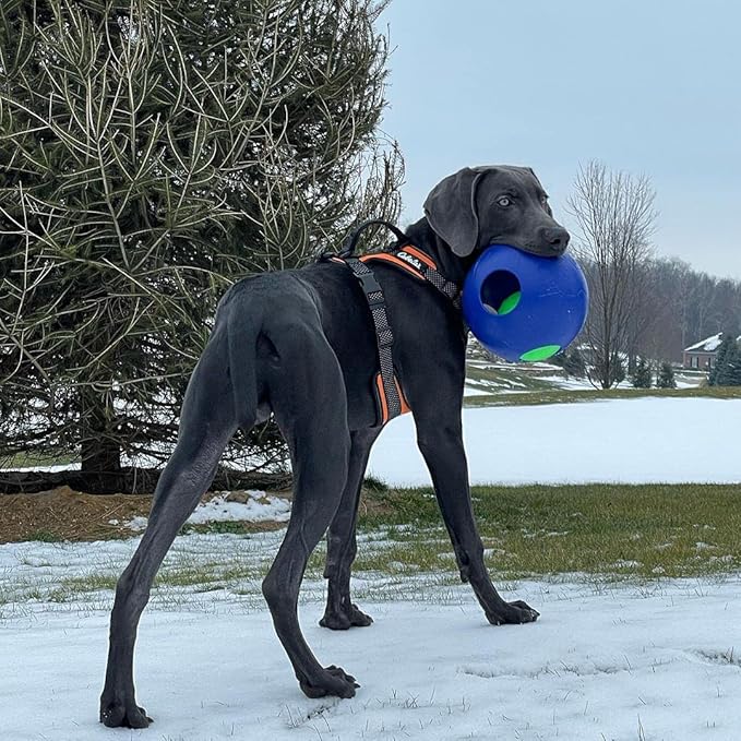 Jolly Pets Teaser Ball Dog Toy, Large/8 Inches, Blue, Model Number: 1508 BL-Mewly Pet