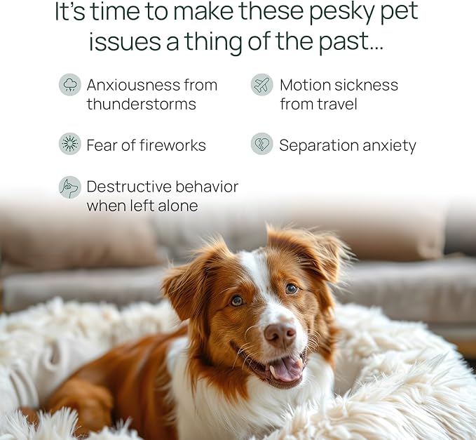 pawTree Chillax - Natural Calming Hemp Chews. Veterinarian-Developed Formula Helps Relieve Stress and Tension, Separation Anxiety and Soothe Fear from Storms - Large Soft Chews for Dogs (60 Count)-Mewly Pet