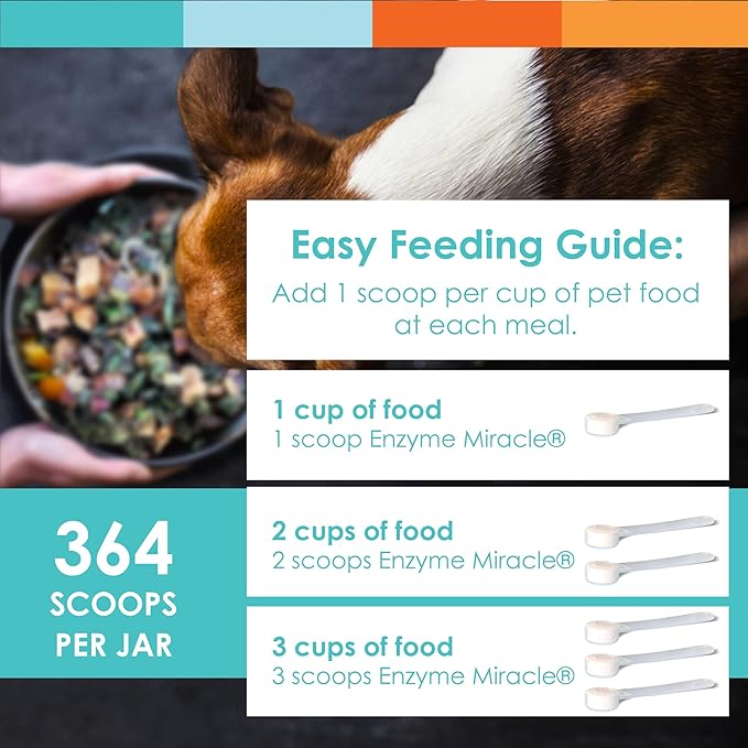 Digestive Enzymes for Dogs & Cats : Protein, Carbs, Starches & Fats Digestion : Supports Diet Change : Enzyme Miracle (364 Scoops, Powder)-Mewly Pet