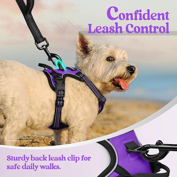 rabbitgoo Dog Harness No Pull with 2 Leash Clips, Adjustable Soft Padded, Reflective Oxford No Choke Pet Vest with Easy Control Handle for Puppy, Purple,XS-Mewly Pet