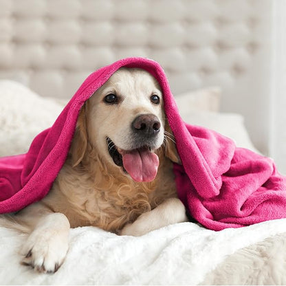 BEDELITE Fleece Blanket Twin Size Hot Pink Throw Blankets for Couch & Bed, 300GSM Luxury Plush Cozy Fuzzy Blanket 60x80 inches, Super Soft Warm Lightweight Throw Blanket for Travel Camping