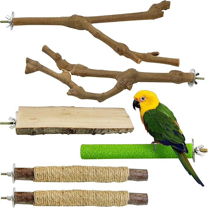 kathson 5pcs Natural Parrot Perch for Cage Wooden Bird Perches Grape Bird Stick Parakeet Climbing Standing Branches Toy Chewable Cage Accessories for Small Budgies Cockatiels Lovebirds Budgies-Mewly Pet