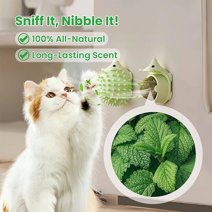 6 Pcs Catnip Ball Toys with Rubbing Shell, Lickable Roller Catnip Toys for Cats Chew, Edible and Refillable Kitten Toys, Teeth Cleaning Dental Indoor Cat Treats Toys, 3 Shells 6 Balls-Mewly Pet