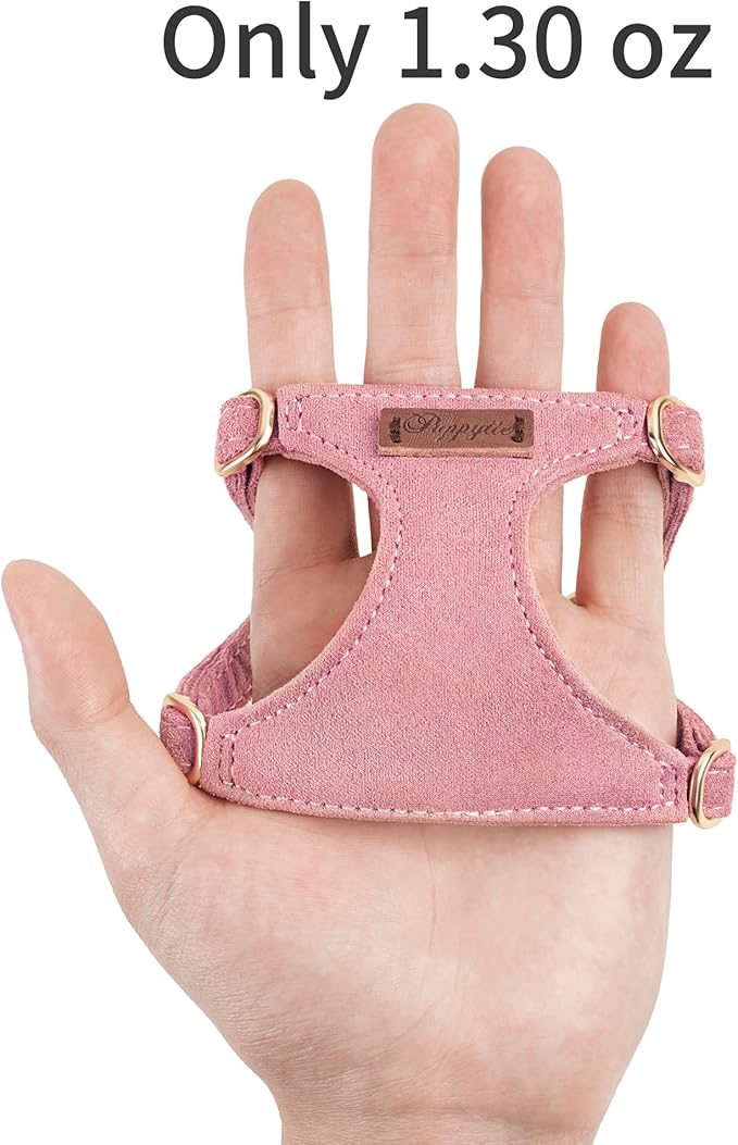 Puppytie No Pull xs Dog Harness with Multifunction Dog Leash,Soft Adjustable No Choke Escape Proof Pet Harness Vest,Navy,XS-Mewly Pet