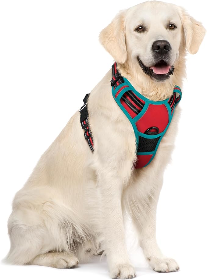 rabbitgoo Dog Harness No Pull with 2 Leash Clips, Adjustable Soft Padded, Reflective Oxford No Choke Pet Vest with Easy Control Handle for Large Dogs, Red & Teal, XL-Mewly Pet