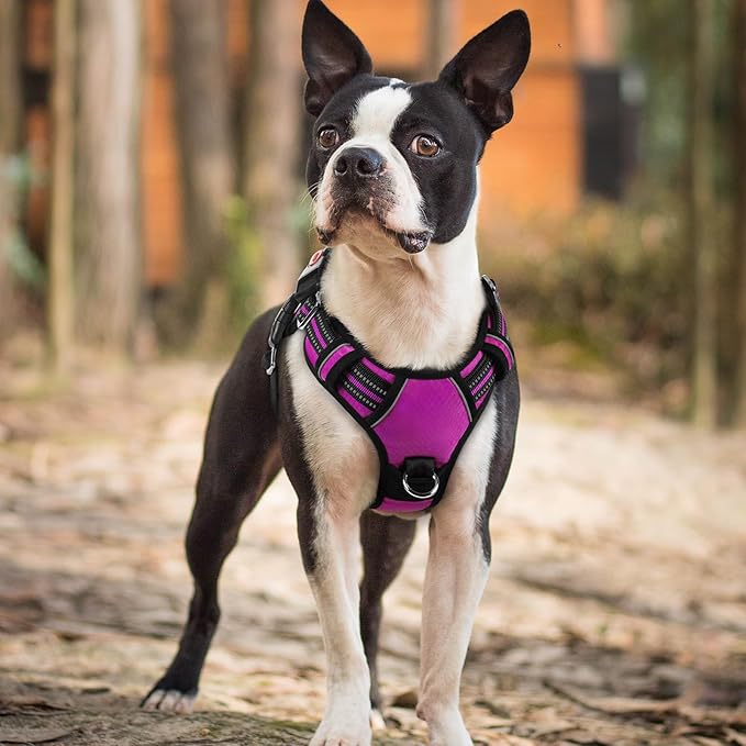 rabbitgoo Dog Harness Small Sized, No Pull Dog Vest with 3 Buckles, Adjustable Soft Padded Pet Harness with Easy Control Handle and Reflective Strips, Purple, S-Mewly Pet