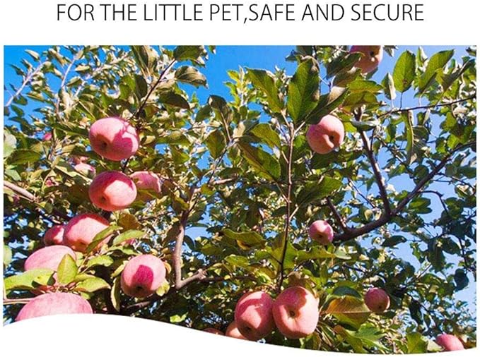 Bunny Chew Toys for Teeth, 2 PCS Organic Apple Wood Molar Sticks with Timothy Hay Circles for Bunny Chinchilla Guinea Pig Hamsters Holland Lop Prairie Dogs Squirrels, Improves Dental Health-Mewly Pet