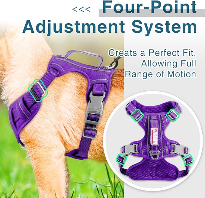 BARKBAY Dog Harness No Pull with ID Tag Pocket - Heavy Duty, Reflective, Easy Control for Large Dogs(Purple,S)-Mewly Pet