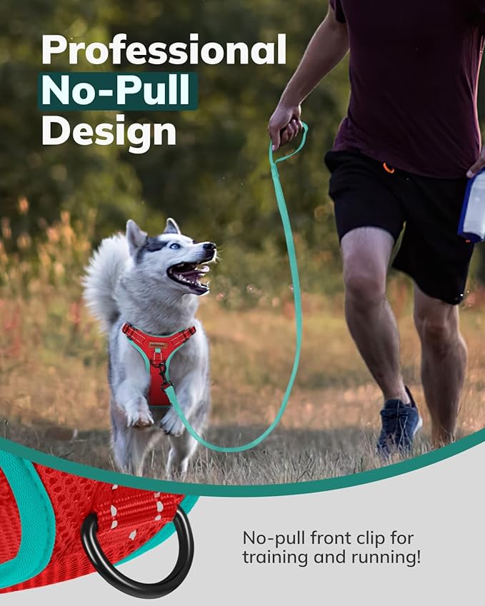 MIDOG No-Pull Dog Harness | Adjustable & Reflective Pet Harness Leash Set for Small Medium Large Dogs Walking, Training| No Choke, Front Clip, Soft Padded Vest with Easy Control Handle - Red, S-Mewly Pet