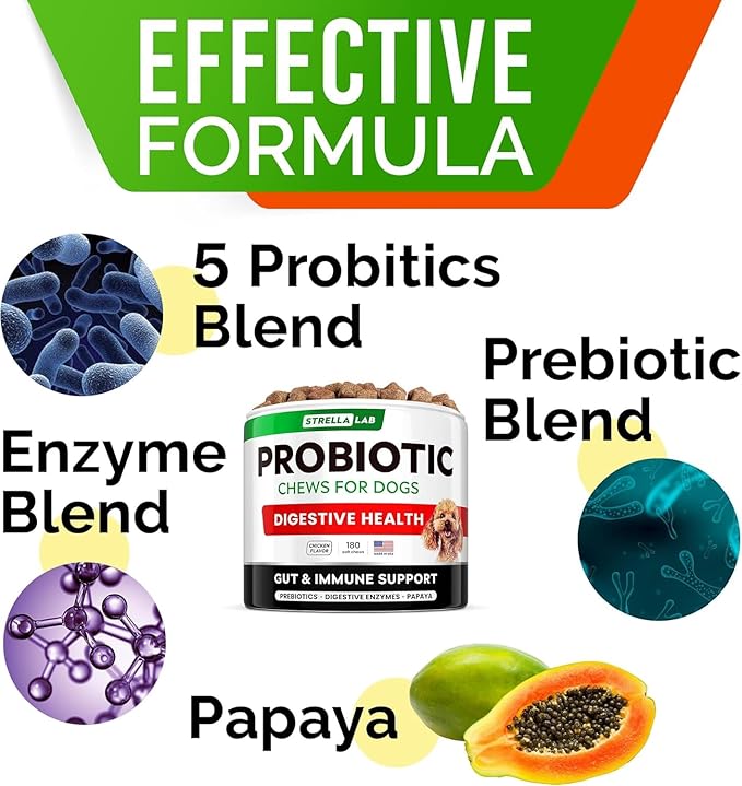 StrellaLab Dog Probiotics Treats for Picky Eaters (180ct) - Digestive Enzymes + Prebiotics - Chewable Fiber Supplement - Allergy, Diarrhea, Gas, Constipation, Upset Stomach Relief - Improve Digestion-Mewly Pet