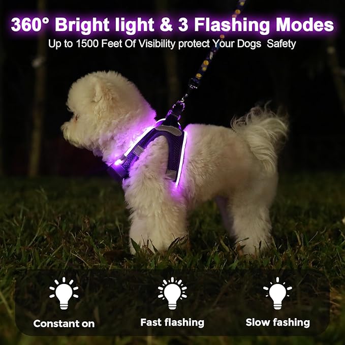 Light Up Dog Harness,Rechargeable LED Dog Harness for Small Medium Large Dogs,Reflective Lighted Safety Vest for Night Walking & Camping,Lightweight & Adjustable,Purple,L-Mewly Pet