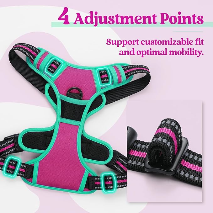 rabbitgoo Dog Harness No Pull with 2 Leash Clips, Adjustable Soft Padded, Reflective Oxford No Choke Pet Vest with Easy Control Handle for Large Dogs, Hot Pink & Turquoise, M-Mewly Pet