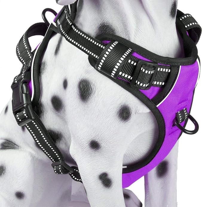PoyPet No Pull Dog Harness, Reflective Comfortable Vest Harness with Front & Back 2 Leash Attachments and Easy Control Handle Adjustable Soft Padded Pet Vest for Small to Large Dogs (Purple,XS)-Mewly Pet