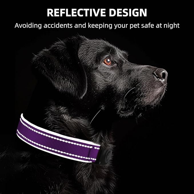 Airtag Dog Collar - 100% Waterproof Air tag Dog Collar Holder for Apple AirTag, Reflective, Soft Padded, Everlasting, GPS Dog Collar for Small Medium Large Dogs (Purple, S)-Mewly Pet