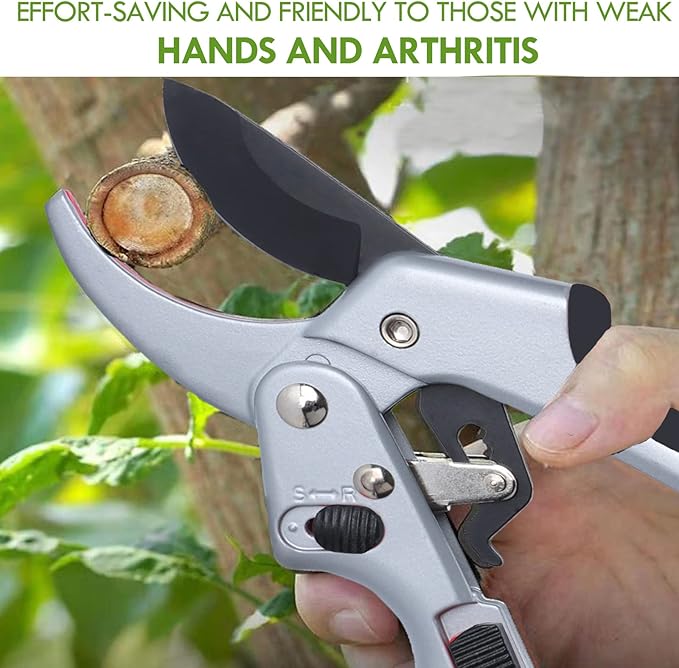 Garden clippers, premium Germany pruners, Work 3 times easier, professional ratchet pruning shears, cutting rose, flower, hedge, stem, tree, Sharp gardening scissors, Arthritis weak hand snips-Mewly Pet