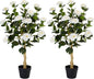 3FT Artificial Camellia Tree, 2 Pack Fake Camellia Tree Artificial Tree, Faux Floral Plants in Cement Pot, Greenery Potted Plant for Indoor Outdoor Home Office Porch Decor (White)