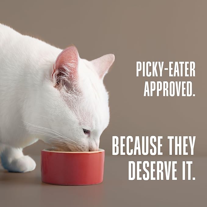 Whole Life Cat Freeze Dried Cat Food - Human-Grade Wet Food Toppers, Single Ingredient Snacks & Lickable Treats, Instantly Hydrating Natural Broth Just Add Water, Made in USA - Salmon & Tuna, 3 Oz-Mewly Pet